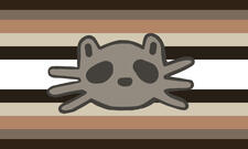 Racoongender